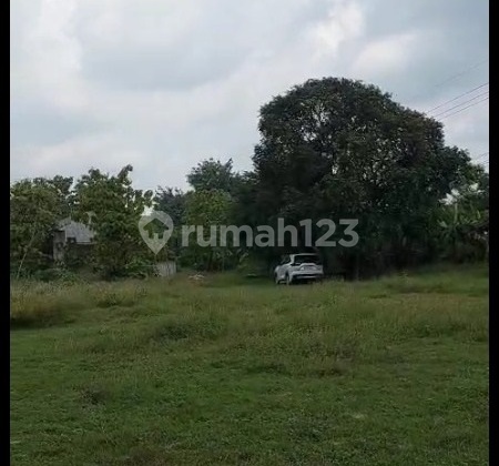 Dijual Tanah SHM di Jl Raya Plumpang Tuban