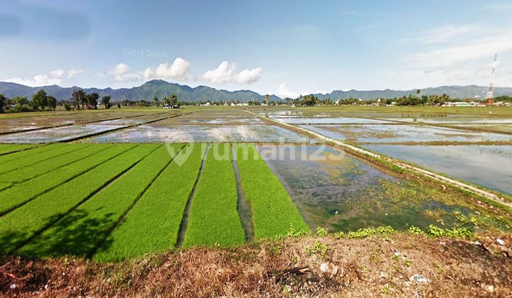 Jual Tanah Gorontalo 6 Km Dari Gorr Dekat Rumah Sakit Toto