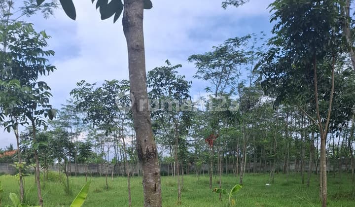 Tanah Murah dekat Summarecon Bandung dan Kereta Api Cepat