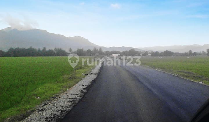 Jual Sawah Gorontalo Dekat Rumah Sakit Toto Dijual Cepat