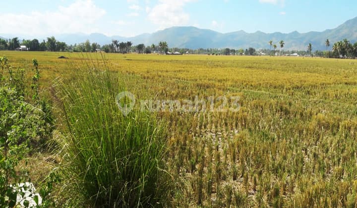 Dijual Tanah Dekat Rs Toto Gorontalo Outer Ring Road (Gorr)