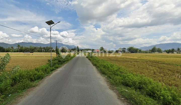 Gorontalo Land Near Toto Hospital For Quick Sale Gorontalo Land Near Toto Hospital For Quick Sale