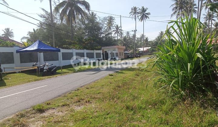 pantai krui pesisir barat