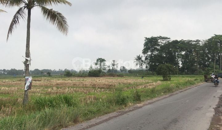 TANAH JATI AGUNG LAMPUNG SELATAN