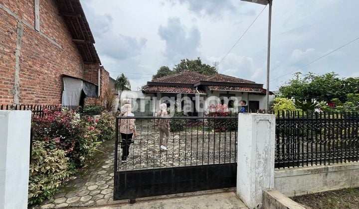 RUMAH JL.SUKARNO HATTA