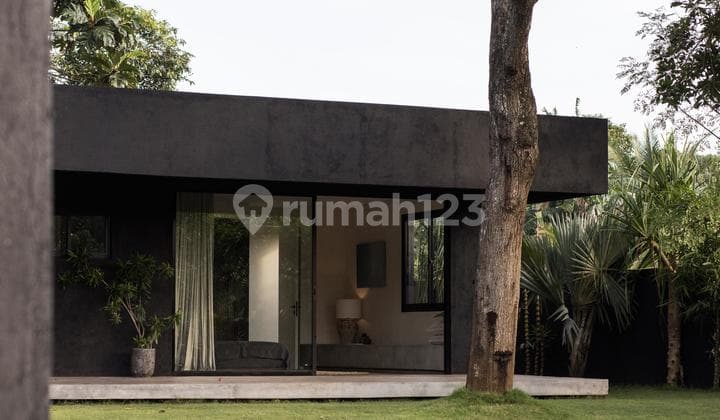 Large And Nature Villa In Kedungu,Bali For Sale,Amazing