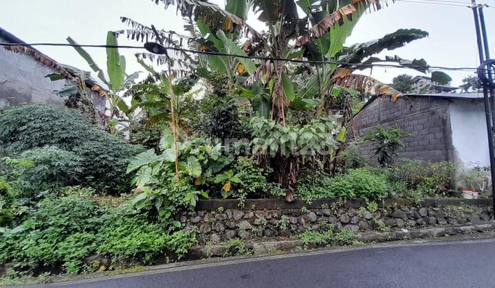 Tanah Strategis di Selorejo Bendan Duwur Gajah Mungkur 1 Menit ke Unika