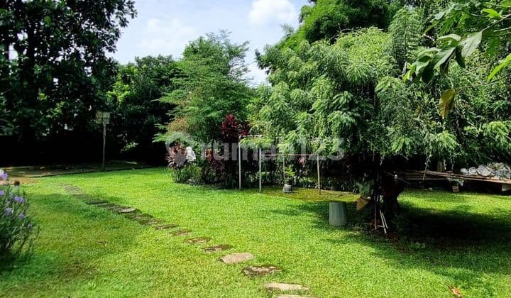 Rumah Bintaro Jaya Sektor 3 Tanah Sangat Luas Harga Murah Hitung Tanah