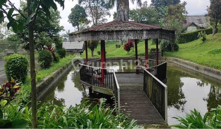 Murah & Lokasi Bagus. Tanah Dan Bangunan 1,4 Ha Di Jl. Raya Cisarua, Puncak, Bogor, Jalan Raya, Bisa Bangun Hotel, Villa, Restaurant