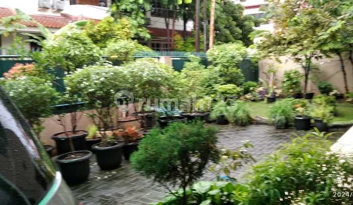 Lagi Bu... Rumah Siap Huni 2 Lantai di Cideng, Jakarta Pusat