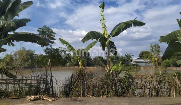 Dijual Tanah Sekitar Jalan Poros Barombong, Gowa Dijual Tanah Sekitar Jalan Poros Barombong, Gowa