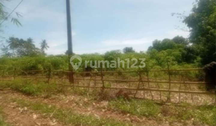 Dijual Tanah Sekitar Jalan Poros Kariango Carangki, Tanralili, Maros