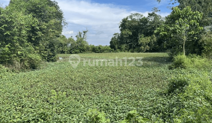 Land for Sale in Gowa, Near Sungguminasa Takalar Road, Bajeng Land for Sale in Gowa, Near Sungguminasa Takalar Road, Bajeng