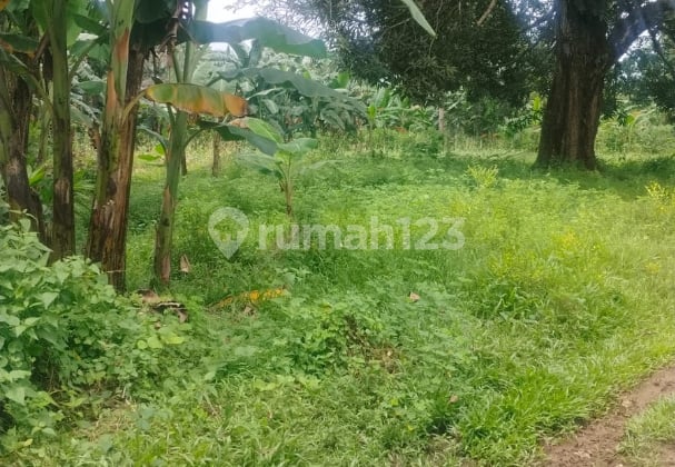 Dijual Tanah Gowa Sekitar Jalan Pattallassang Samata Dijual Tanah Gowa Sekitar Jalan Pattallassang Samata