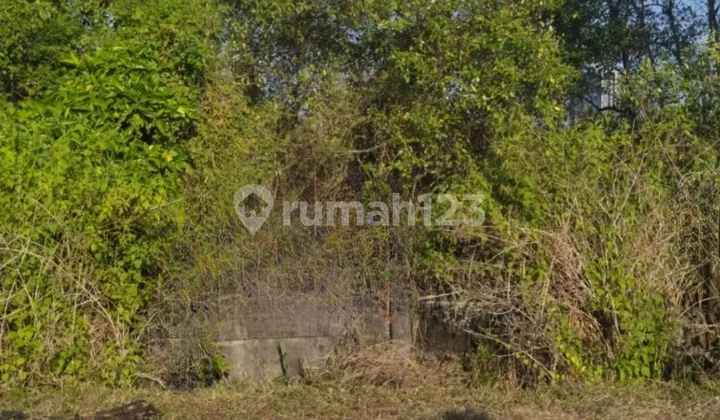 Land for Sale in Makassar, Near Metro Tanjung Bunga Road Land for Sale in Makassar, Near Metro Tanjung Bunga Road