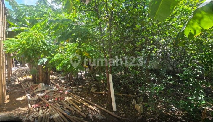 Dijual Tanah Makassar Sekitar Jalan Perintis Kemerdekaan, Jl Pendidikan Unhas Dijual Tanah Makassar Sekitar Jalan Perintis Kemerdekaan, Jl Pendidikan Unhas