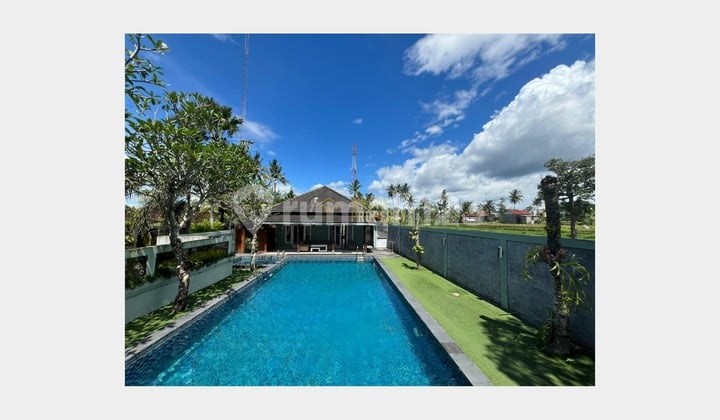 Villa Tanah Luas View Sawah Dekat Jl. Kaliurang KM 10 Ngaglik