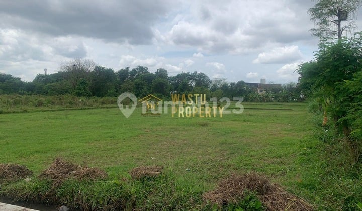 Dijual Cepat Tanah Luas di Gamping Jogja