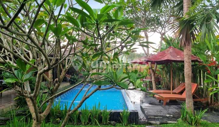 Most Beautiful Villa for Sale Cheap in Kaliurang Jogja