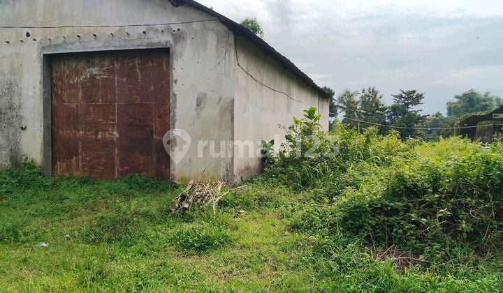 Tanah Pinggir Jalan Propinsi