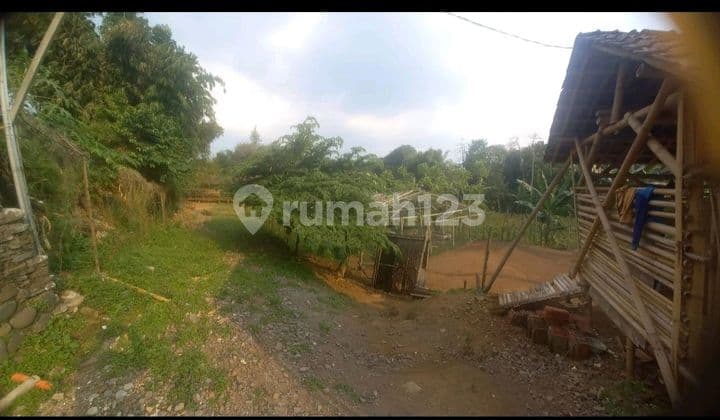 Tanah Dalam Perumahan Kota Jember