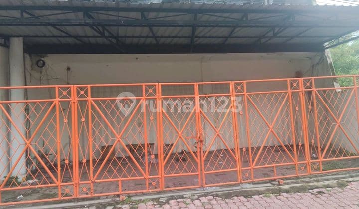 Ruko Pusat Kota Jember