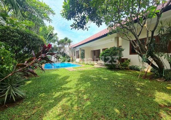 For Rent One Floor House With Beautiful Garden In Kemang Area