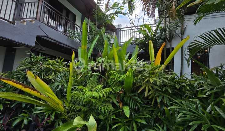 Jual 3 Villa Siap Huni dengan Private Pool Dekat Canggu Bali Nvy