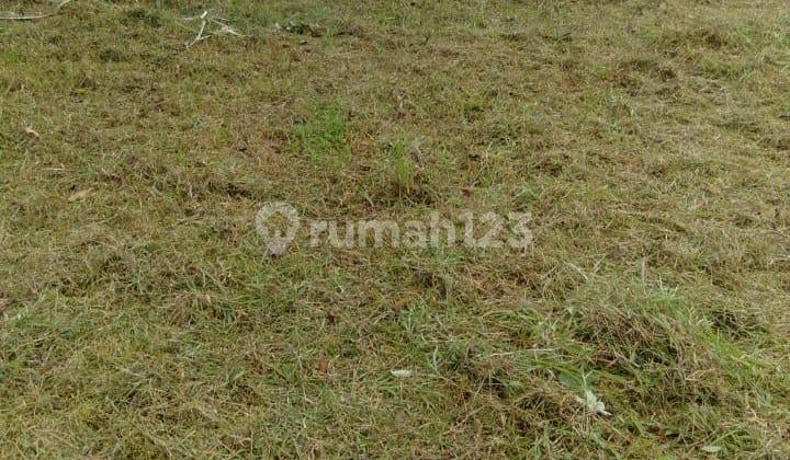 Jual Tanah Luas 1.550M di Pinggir Jl. Raya Maja Lebak Banten Yli