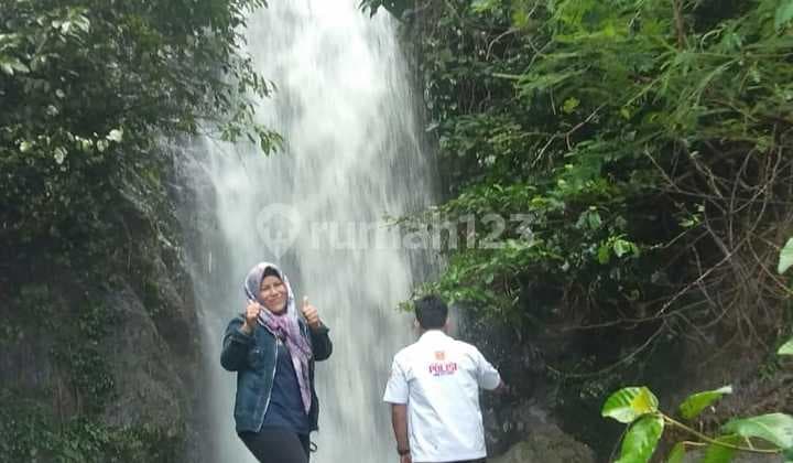 Lahan Bagus 5 Ha SHM di Lebak Banten Ada Air Terjun, Duren Dll