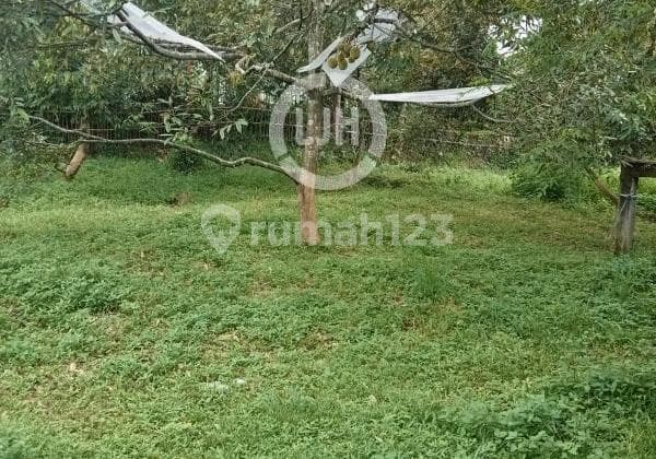 Kavling di Desa Sumber, Sukorejo