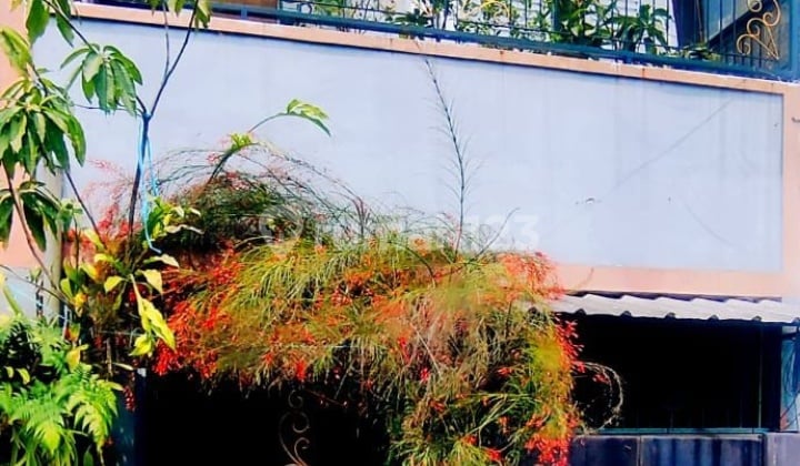 Rumah Satu Lantai Nyaman di Huni
