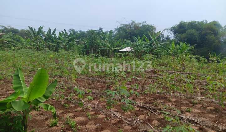 Tanah Investasi di Cipatat Kota Bandung Dekat Akses Tol dan Bebas Banjir