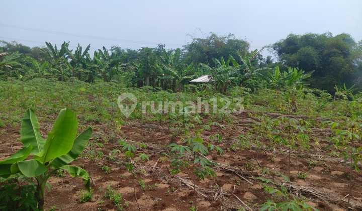 Tanah Investasi di Cipatat Kota Bandung Dekat Akses Tol dan Bebas Banjir