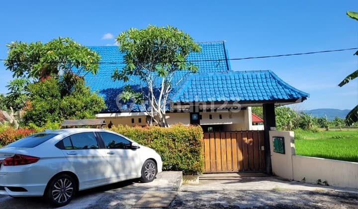 Kesempatan Investasi, Dijual Kompleks Villa Siap Huni di Sewon Bantul, Lengkap Dapur, Kolam Renang Pribadi dan Restoran.