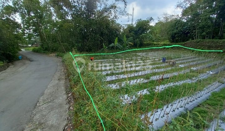 Tanah Luas 1000 Meter Persegi Lokasi Strategis di Daerah Cangkringan Sleman