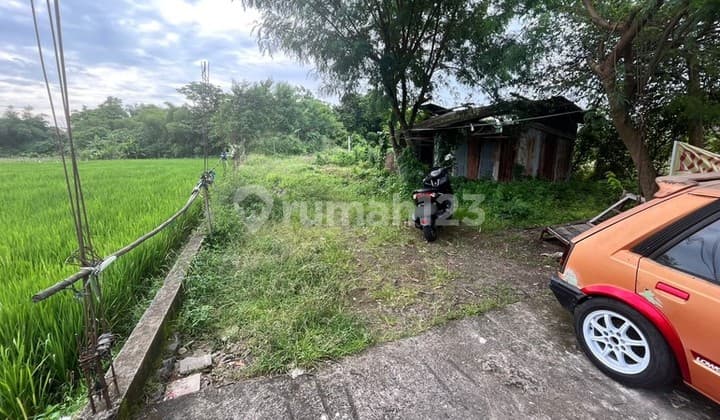 Investasi Terbaik Tanah Siap Bangun 1000 Meter Persegi di Lingkungan Asri Sleman, Dekat Jalan Magelang, Sinduadi, Mlati, Sleman