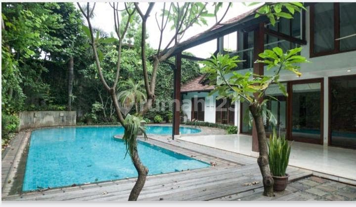 Rumah Dgn Kolam Renang Dan Taman Yg Besar Di Jalan Benda Dalam Kemang Jaksel