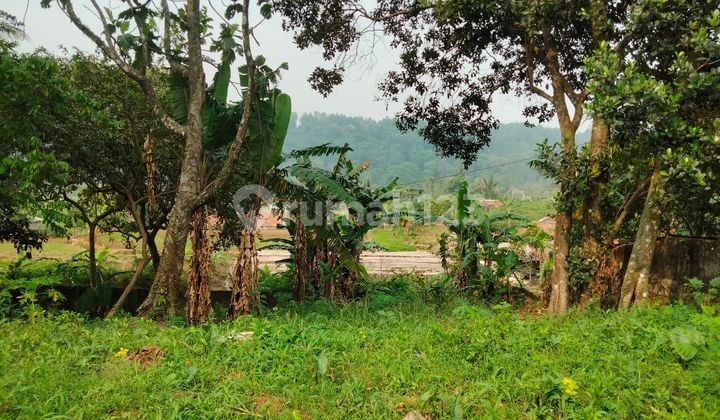 DIJUAL TANAH KAVLING PREMIUM MURAH DEKAT TAMAN BUDAYA SENTUL CITY