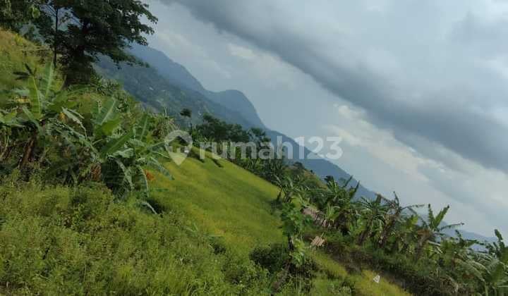 DIJUAL TANAH KAVLING MURAH BISA NEGO DI SUKAMAKMUR PABUARAN BOGOR