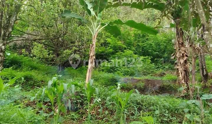 Jual Tanah Daerah Cianjur Bandung