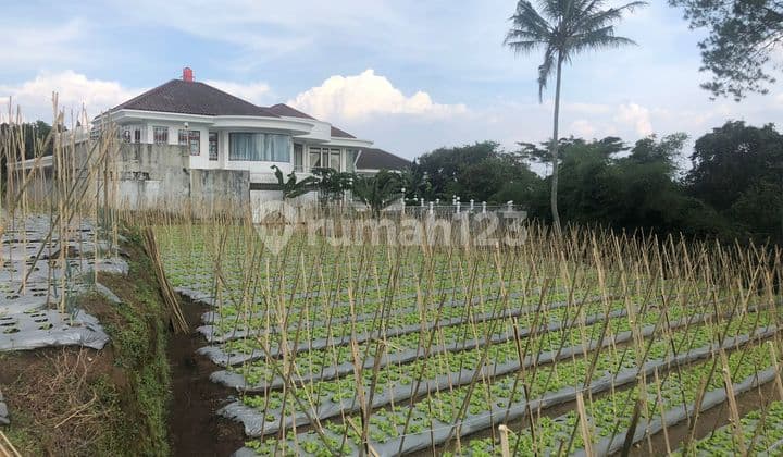 Jual Tanah Strategis Sersan Bajuri Sampoerna Setiabudi Bandung