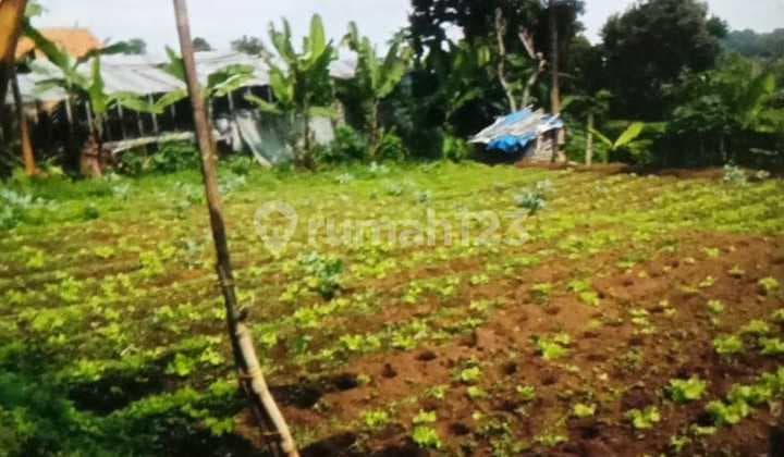 Land for Sale Suitable for Gardening Parongpong Cimahi