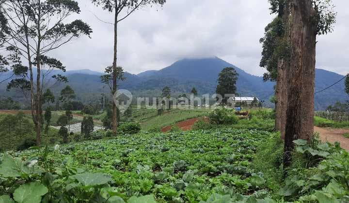 Dijual Cepat Tanah Setrategis Margamulya Pangalengan