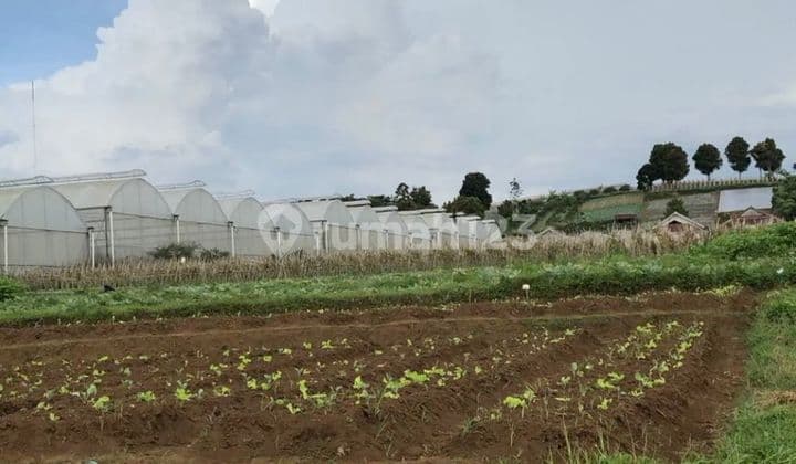 Strategic Land For Sale on Colonel Masturi Road, Cisarua Bandung