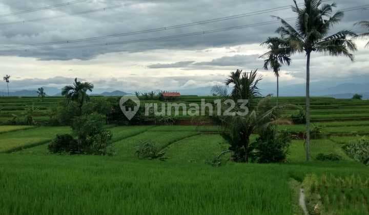 Jual Tanah Daerah Cikalong Wetan Bandung