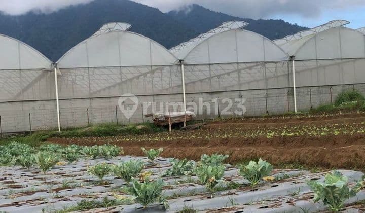 Jual Tanah Strategis Daerah Cisarua Lembang Bandung