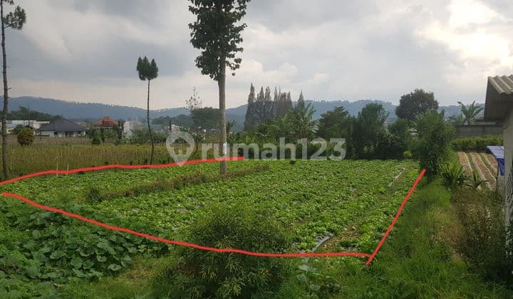 Jual Tanah Jalan Utama Lembang Bandung