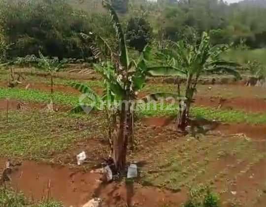 Sell Villa in Padasuka Bandung Area