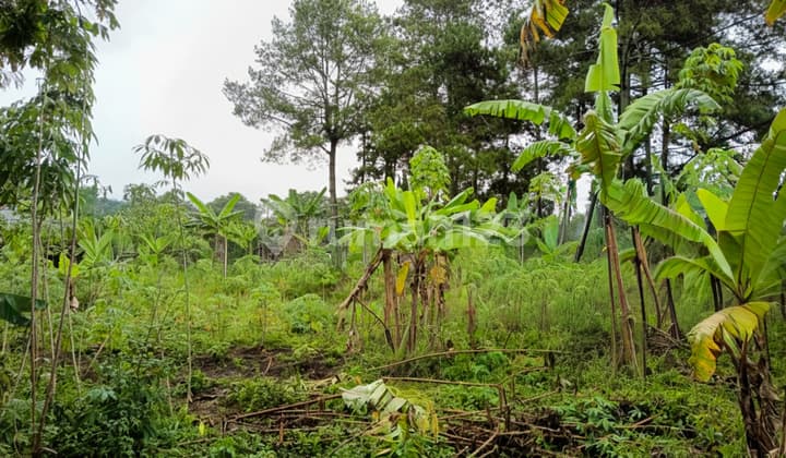 Tanah di Cidadap Bandung Dekat Sersan Bajuri Sukasari, Budi Indah